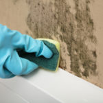 dezinfekce plísní ze stěn a fasád